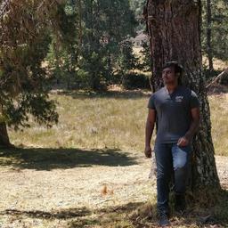 👨‍💻 Sarat Chandra Balla