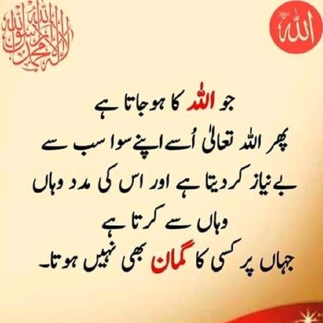 Sheeba Wani