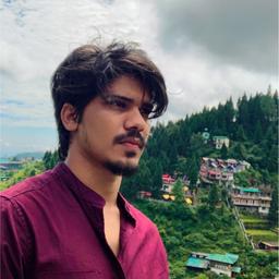 Shwetansh Srivastava