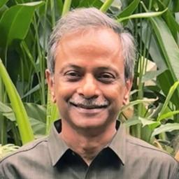 Srinivas Podila