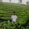TEJASWAROOP A