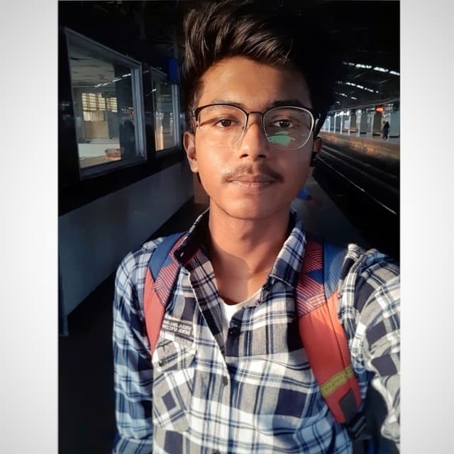 Dipankar Roy