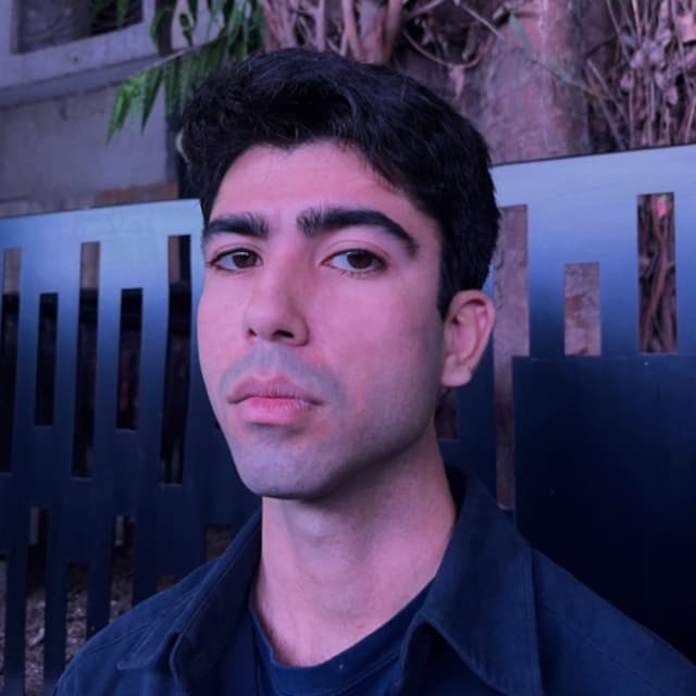Vaibhav W.