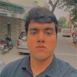 Vidul Pratap Chauhan