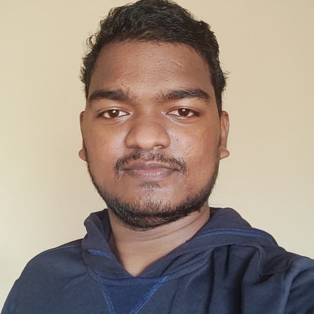 Vignesh Velan Selvamani