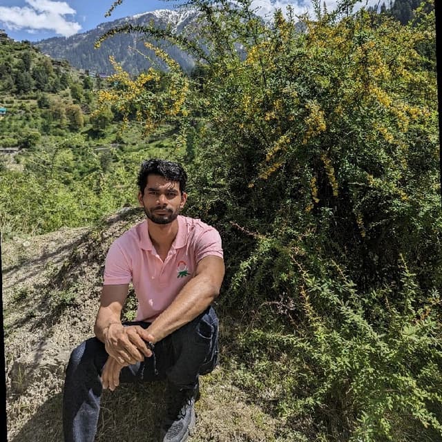 vipin panwar