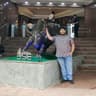 Viraj Chandarana