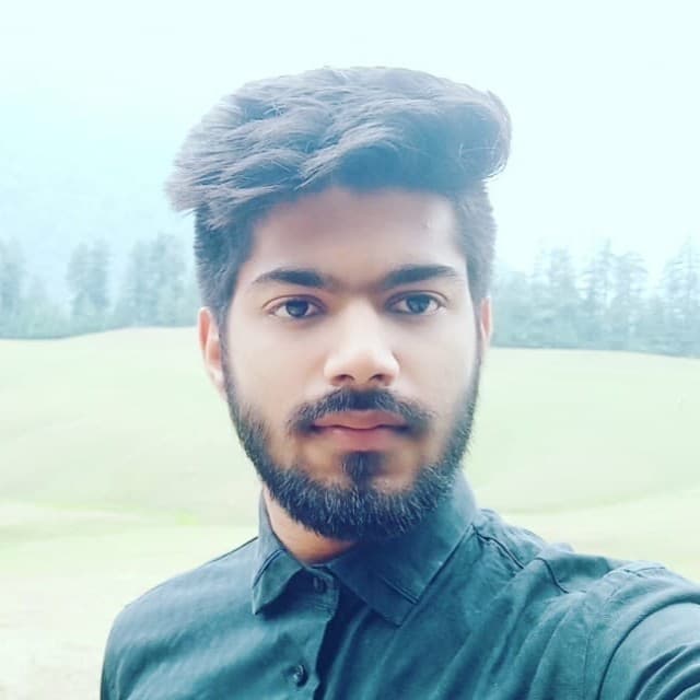 Vishav Vig