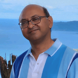 Vivek Sheel Mittal